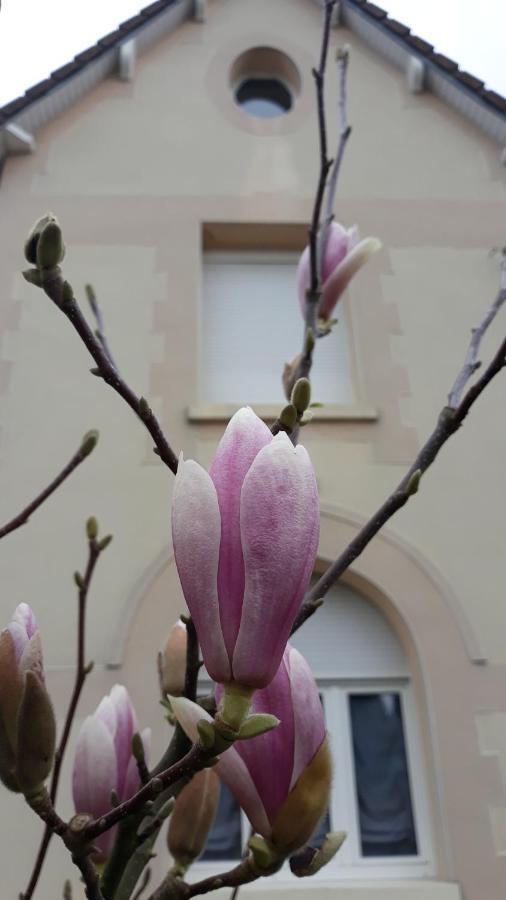 Le Gite Du Magnolia Willerval Εξωτερικό φωτογραφία